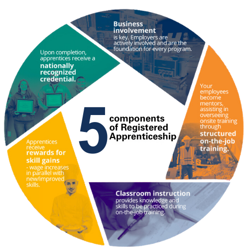 components of Registered Apprenticeship